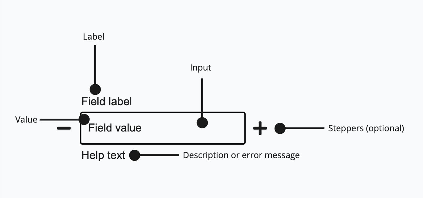 Anatomy of number field